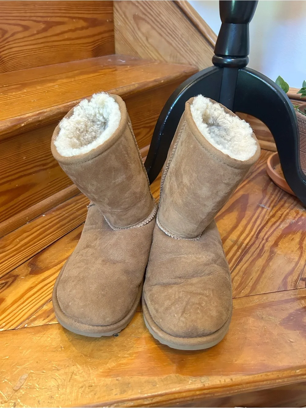 UGG Suede Ankle Boots in Taupe